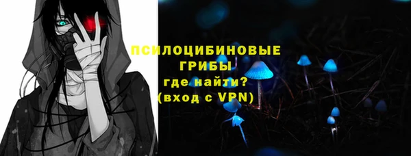 PSILOCYBIN Белокуриха