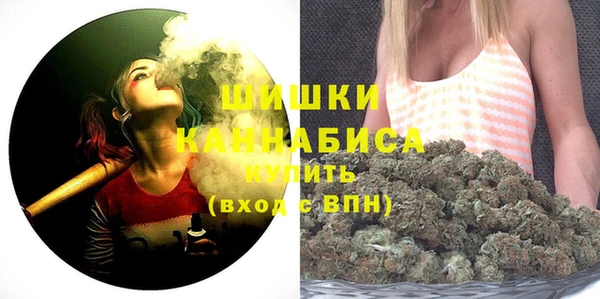 PSILOCYBIN Белокуриха