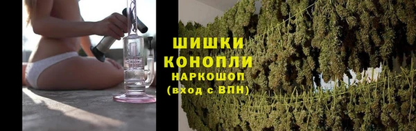 PSILOCYBIN Белокуриха
