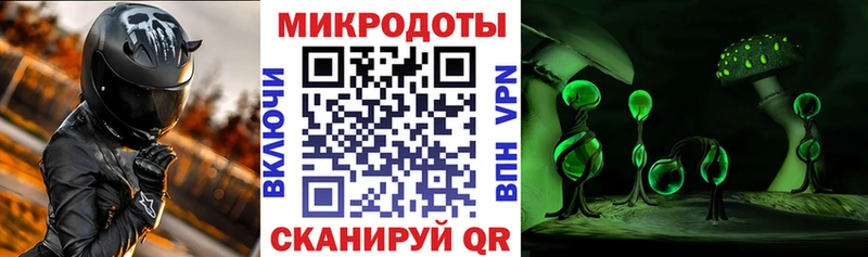 blacksprut как войти  Шумиха  Галлюциногенные грибы GOLDEN TEACHER 